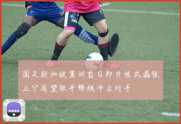 国足新加坡集训首日即开练武磊张玉宁有望联手锋线冲击对手