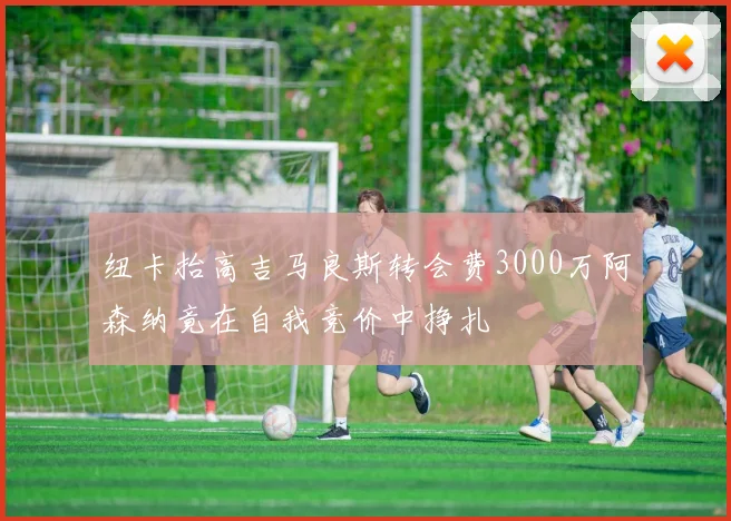 纽卡抬高吉马良斯转会费3000万阿森纳竟在自我竞价中挣扎